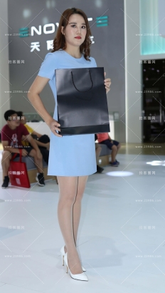 19年深港澳车展1399P