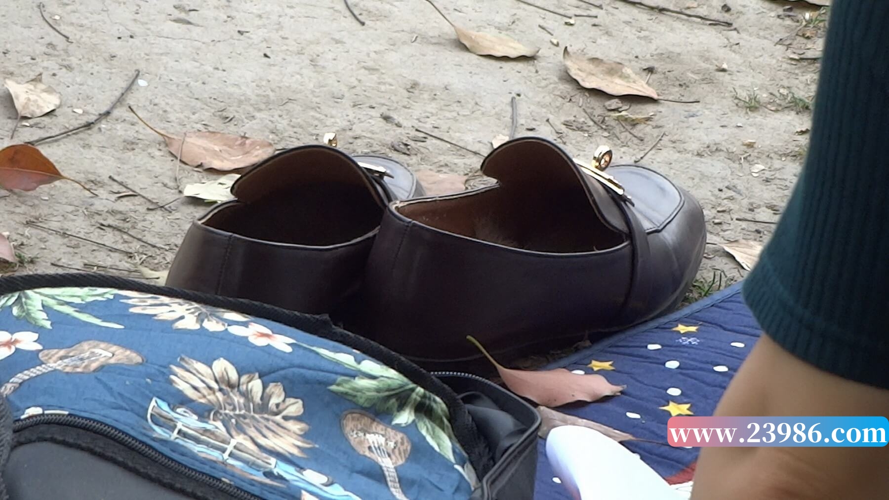 6.jpg
