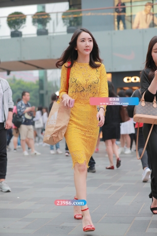 H26、惊艳的黄玫瑰