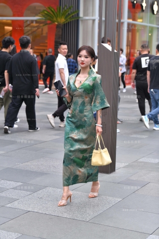 街拍轻熟长裙朲槭