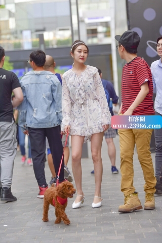 养泰迪的小姐姐