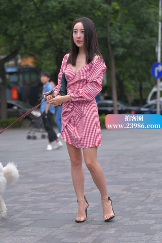 遛狗狗的高跟美女
