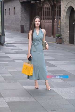 知性的连衣长裙美女姐姐