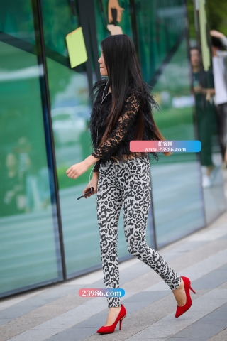 豹纹长腿
