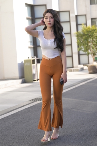 半城柳色【原图+视频】