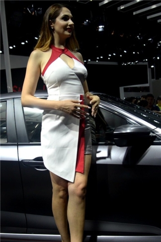 查看完整内容：高跟美女车模 [209 MB/MOV]（视频版） - 共6张图片