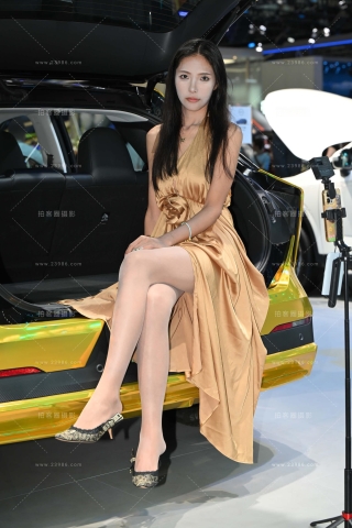 在直播的长裙丝腿小姐姐