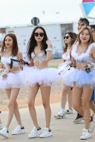 【凯恩赛贴】一群小天鹅