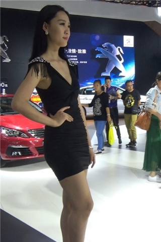 查看完整内容：黑色包臀裙美女车模小姐（视频版） - 共8张图片