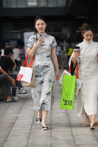 清新素雅旗袍装美女