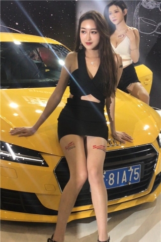 查看完整内容：改装车展的短裙性感车模 [2.86 GB/MOV]（视频版） - 共8张图片