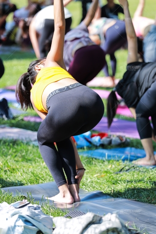 【小默赛帖】★逆光瑜伽美女★