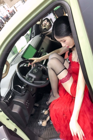 红裙薄丝（视频版）