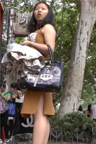 查看完整内容：街拍棕色裙美眉 [779 MB]（视频版） - 共8张图片